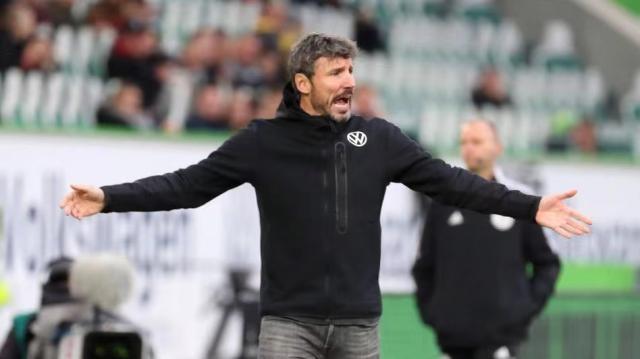 我们看到 我们看到